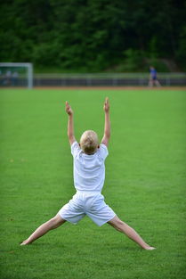 AYX体育官网-高校运动训练计划动态调整机制研究，运动训练调控